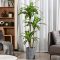 Artificial Plants Home Decor Trending Now