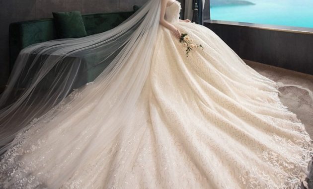 Bride bridal wedding dress